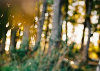 static photos 1774723222