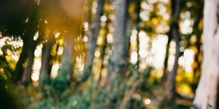 Guest House Cinema – Dubrovački smještaj koji osvaja srca putnika 1 static photos 1774723222