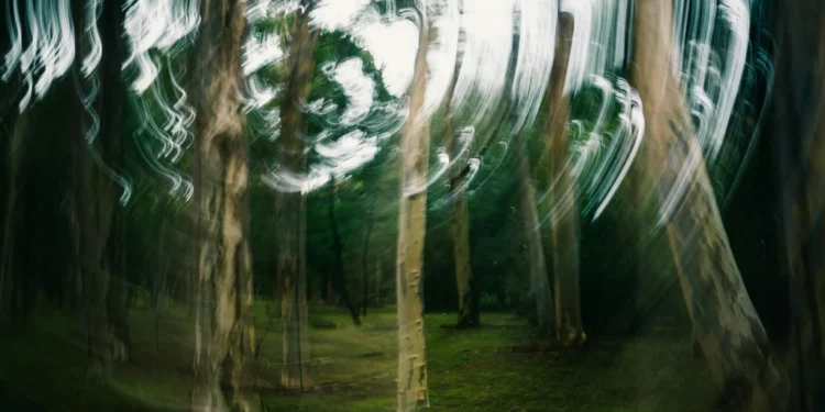 static photos 1774766796