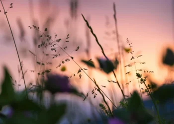 static photos 1774842036