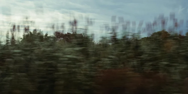 Villa Elena: Luksuzni apartmani u Cavtatu 1 static photos 1774856966