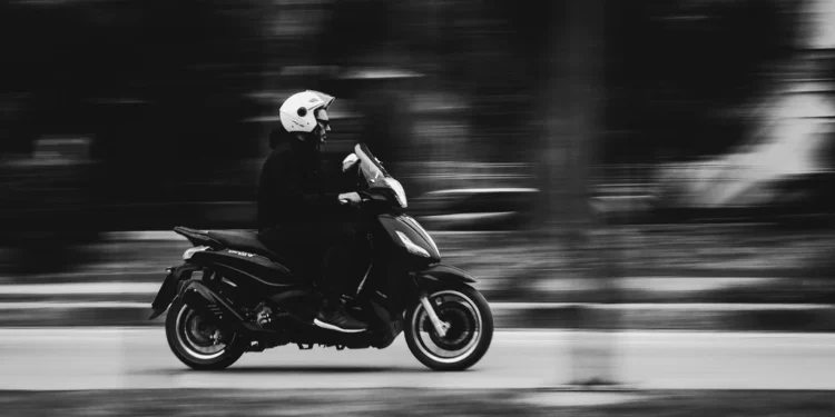 Apartments Pina – udobno i pristupačno odmaralište u Cavtatu 1 static photos 1774870216