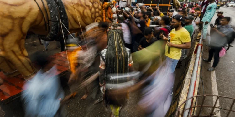 Villa Franka – luksuzna vila na otoku Lopud 1 static photos 1774871589