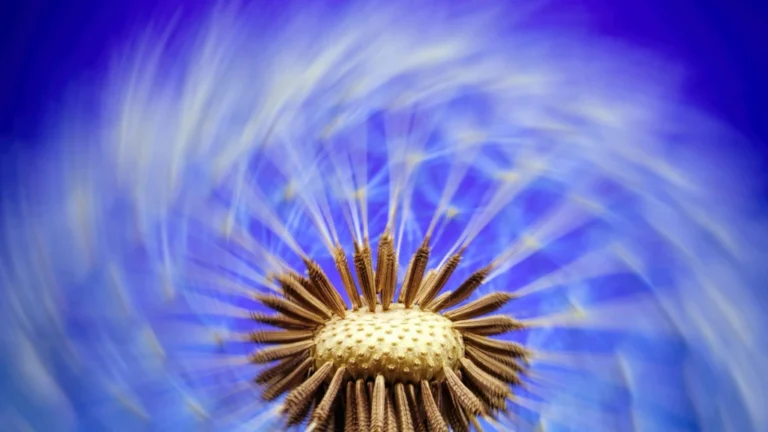 static photos 1774905064