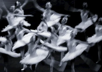 static photos 1774926455