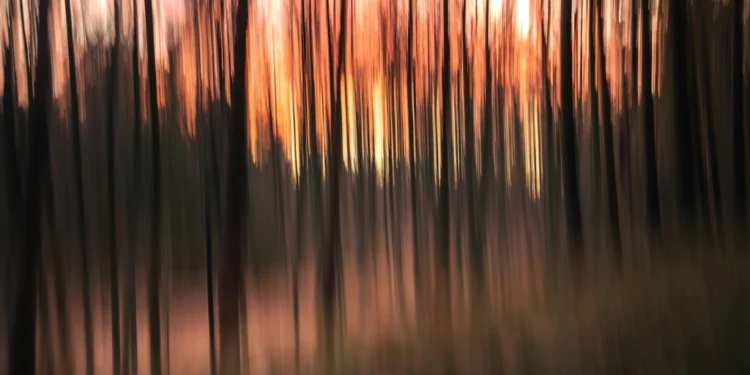 static photos 1775000451