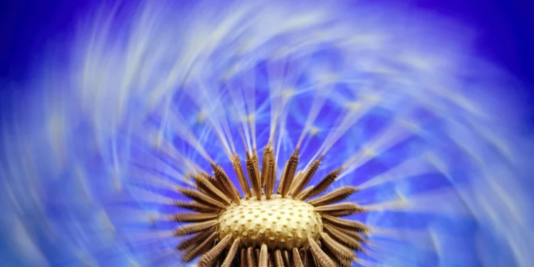 static photos 1775012261