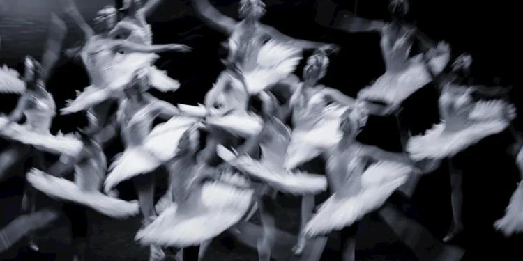 Smještaj u srcu Kotora: Otkrijte čari Starog Grada 1 static photos 1775052402