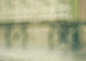 static photos 1775059369