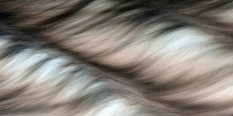 static photos 1775075485