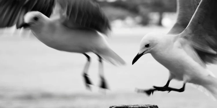 Hotel Luna - Najbolja izbira za putnike 1 static photos 1775081118