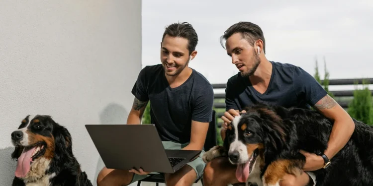 Priručni uređaji za Echo Dot: 4 inovativna Bluetooth rješenja 1 static photos 1775086688