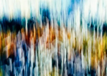 static photos 1775129333