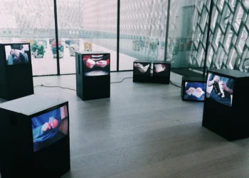 static photos 1775621229